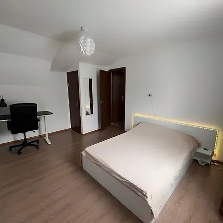 In Inima Capitalei Apartment *