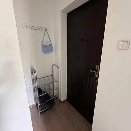 In Inima Capitalei Apartment Bucharest